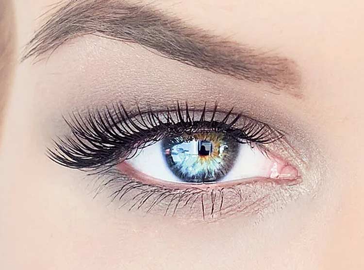 Luscious Lashes